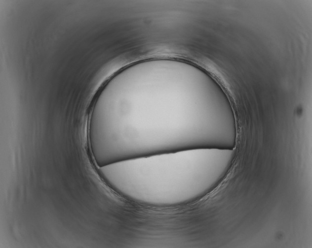 X0000097591227200802290742
