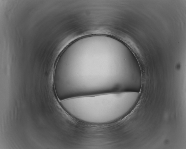 X0000097591228200802290742