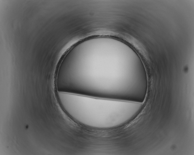 X0000097591229200802290742
