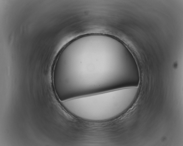 X0000097591230200802290742