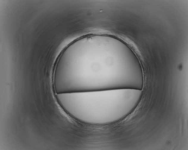 X0000097591231200802290742