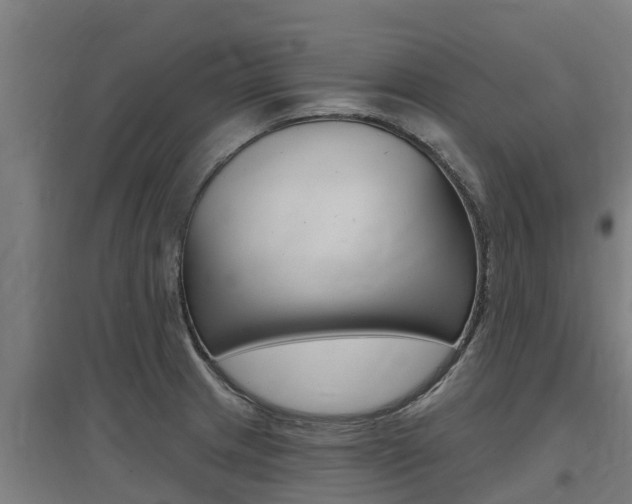 X0000097591233200802290742