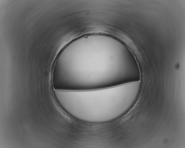 X0000097591234200802290742