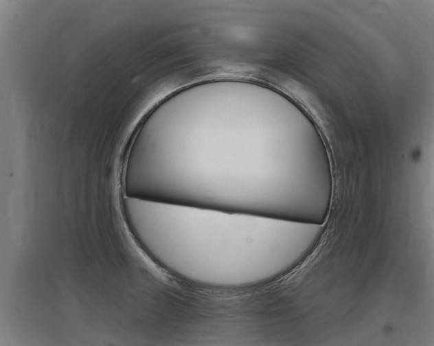 X0000097591235200802290742