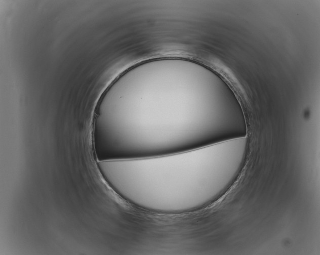 X0000097591236200802290742