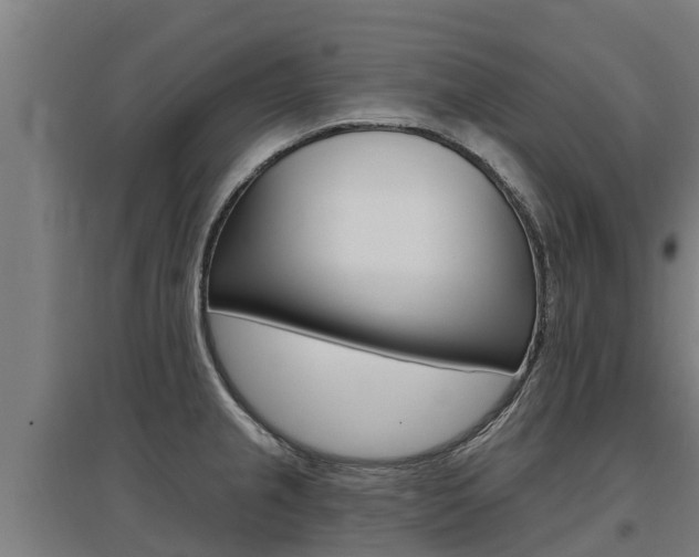 X0000097591237200802290742