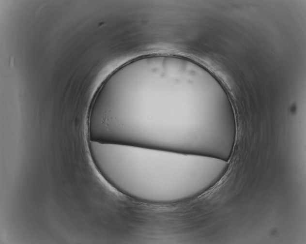 X0000097591239200802290742