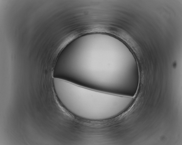 X0000097591241200802290742