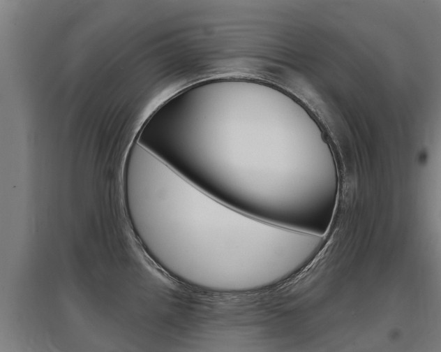 X0000097591242200802290742