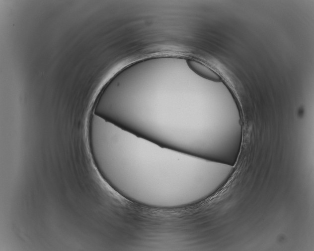 X0000097591243200802290742
