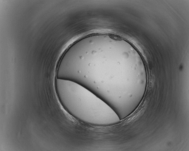 X0000097591245200802290742