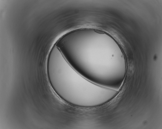 X0000097591246200802290742