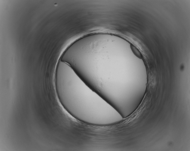 X0000097591247200802290742