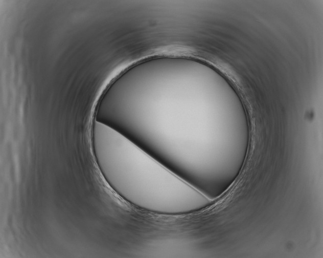 X0000097591248200802290742