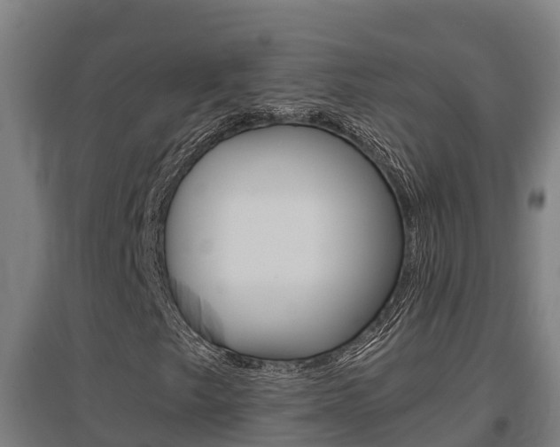 X0000097591249200802290742