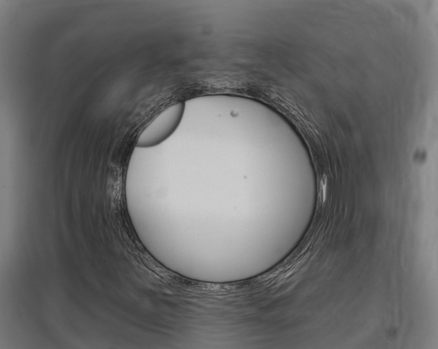 X0000097591251200802290742