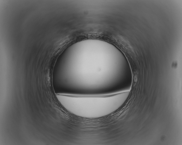 X0000097591252200802290742