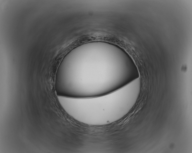X0000097591253200802290742
