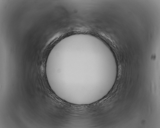 X0000097591254200802290742