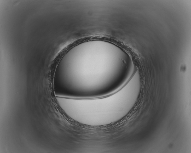 X0000097591256200802290741
