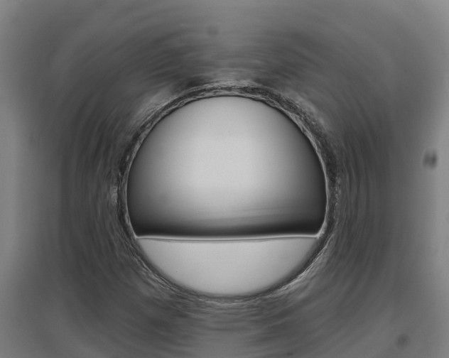 X0000097591257200802290741