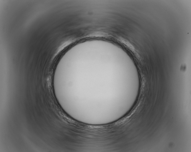 X0000097591258200802290741