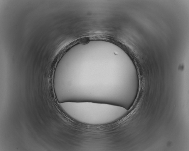 X0000097591259200802290741