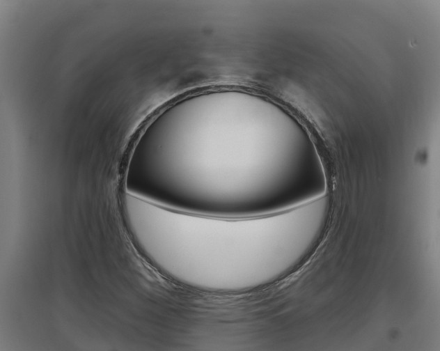 X0000097591260200802290741
