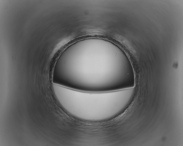 X0000097591261200802290741