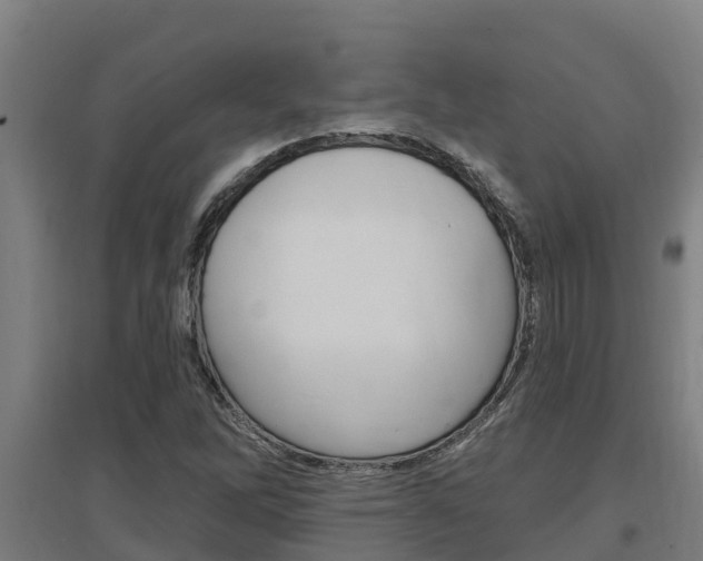 X0000097591262200802290741
