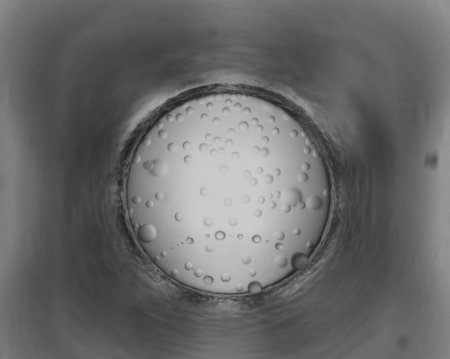 X0000097591263200802290741