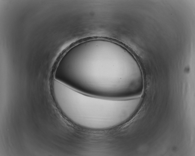 X0000097591264200802290741