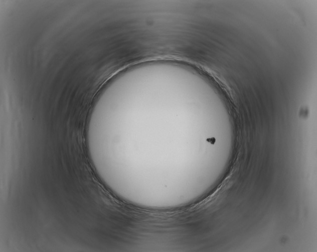 X0000097591265200802290741