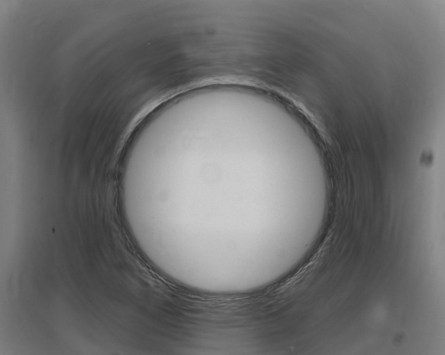 X0000097591266200802290741