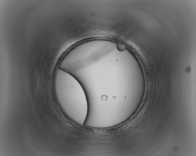 X0000097591267200802290741