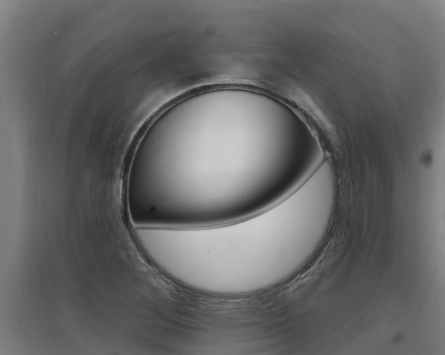 X0000097591268200802290741