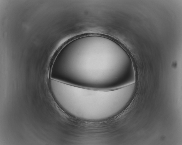 X0000097591272200802290741
