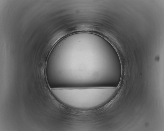 X0000097591273200802290741