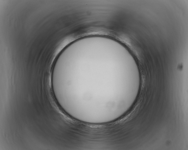 X0000097591274200802290741