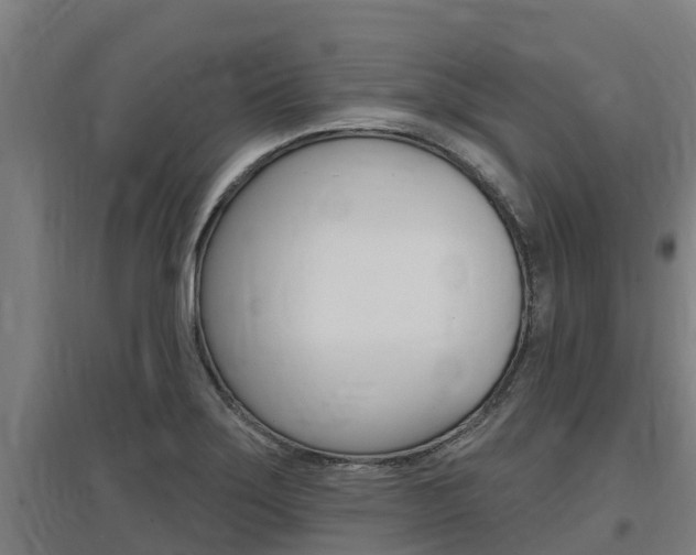X0000097591275200802290741