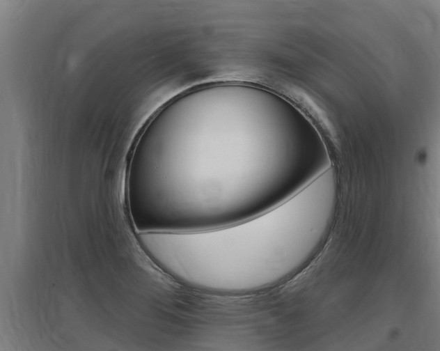 X0000097591276200802290741