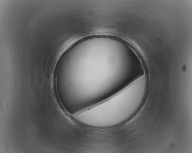 X0000097591277200802290741