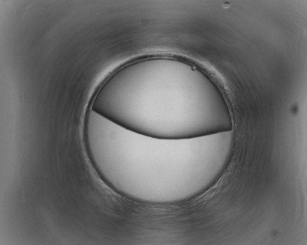 X0000097591279200802290741