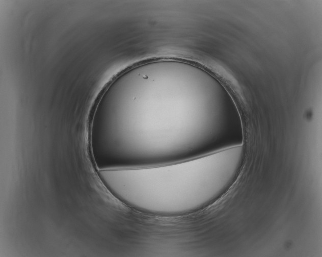 X0000097591280200802290741