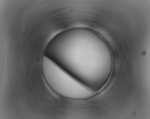 X0000097591281200802290741