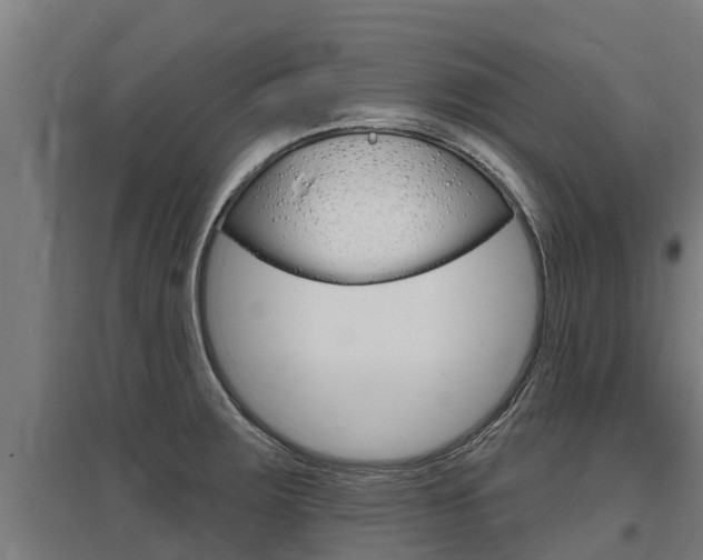 X0000097591283200802290741
