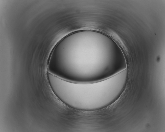 X0000097591284200802290741