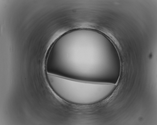 X0000097591285200802290741