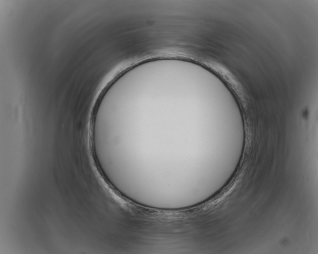 X0000097591286200802290741