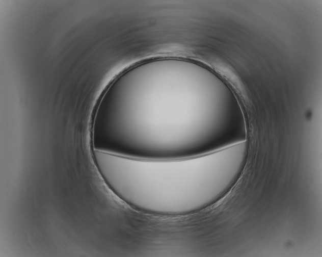 X0000097591288200802290741